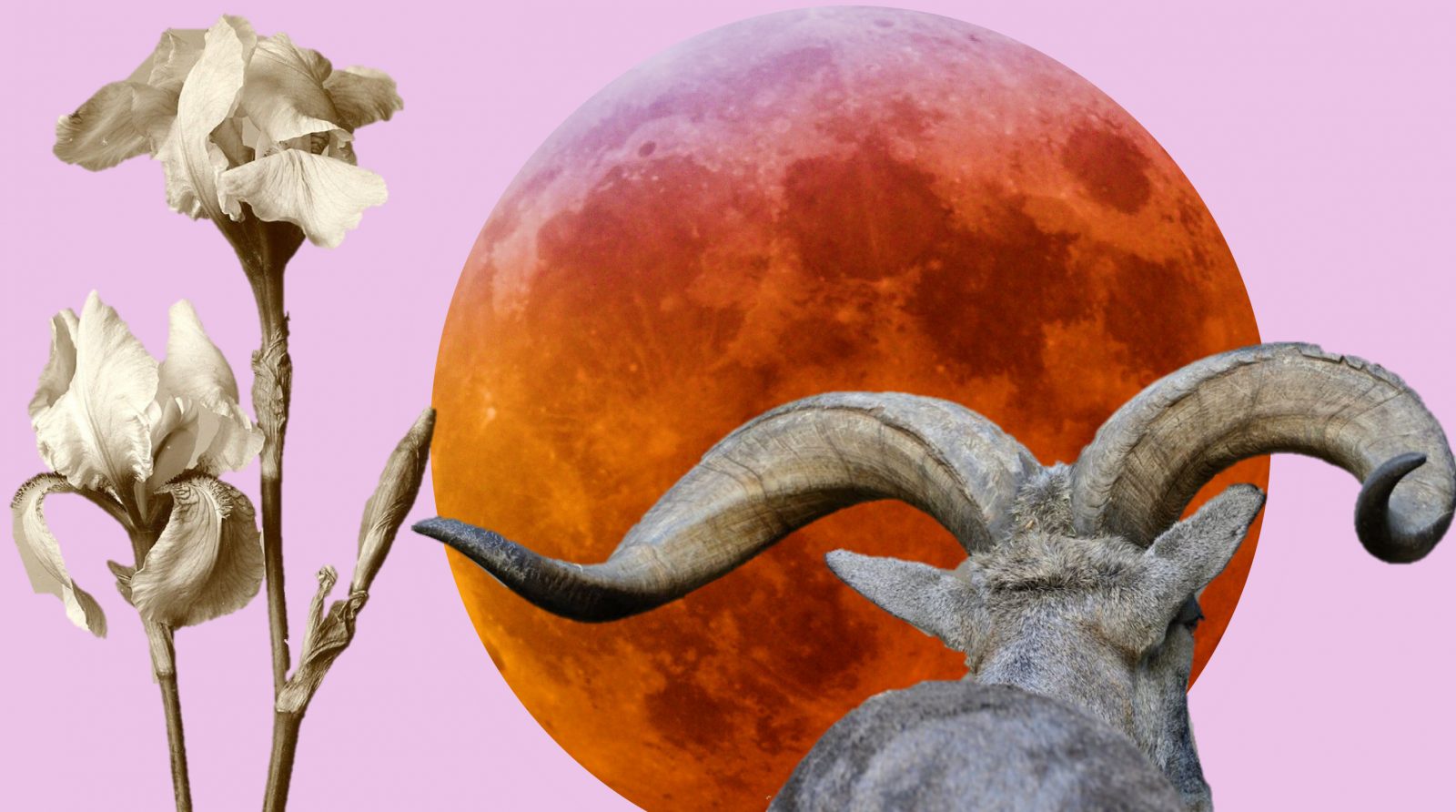 Full Moon and Eclipse in July 2020: Destiny in Action