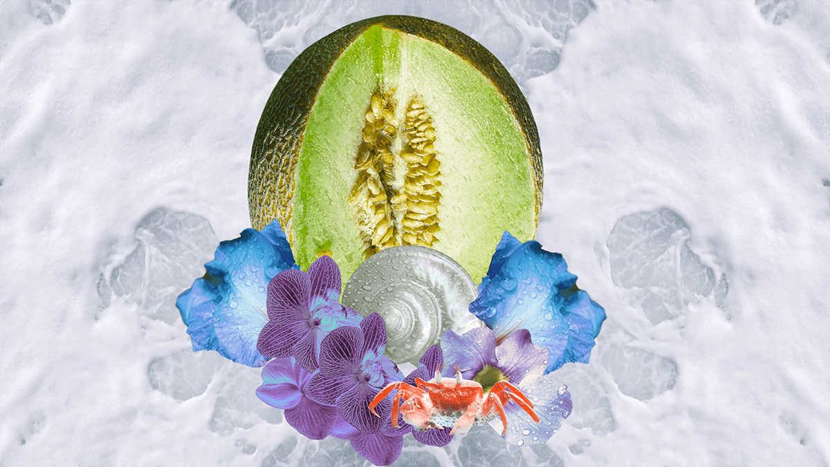 Riding the Waters of the Cancer New Moon