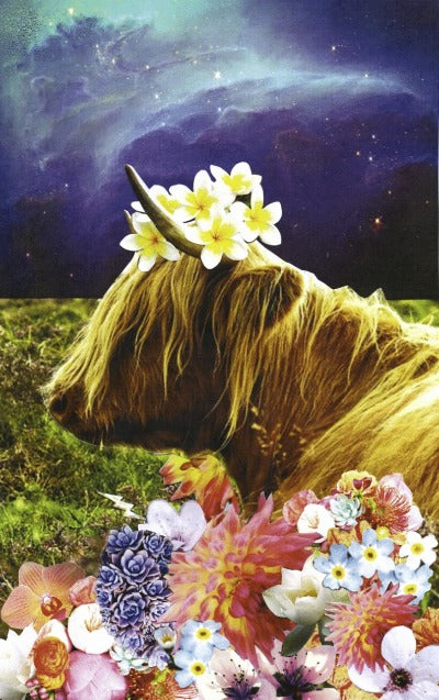 New Moon in Taurus…plan, organize & love