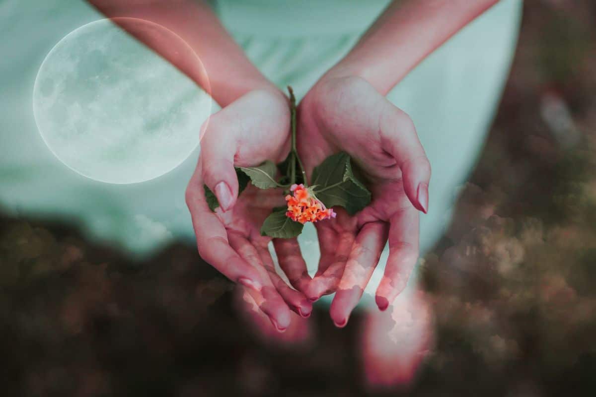 Divine Love Tea to Open your Heart to the World