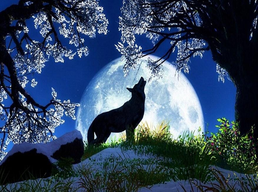 January...Full Wolf Moon