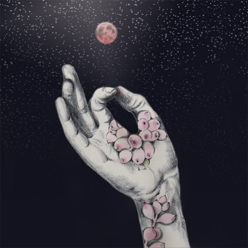 Strawberry Full Moon in Sagittarius: Personal Strength, Love and Transformation