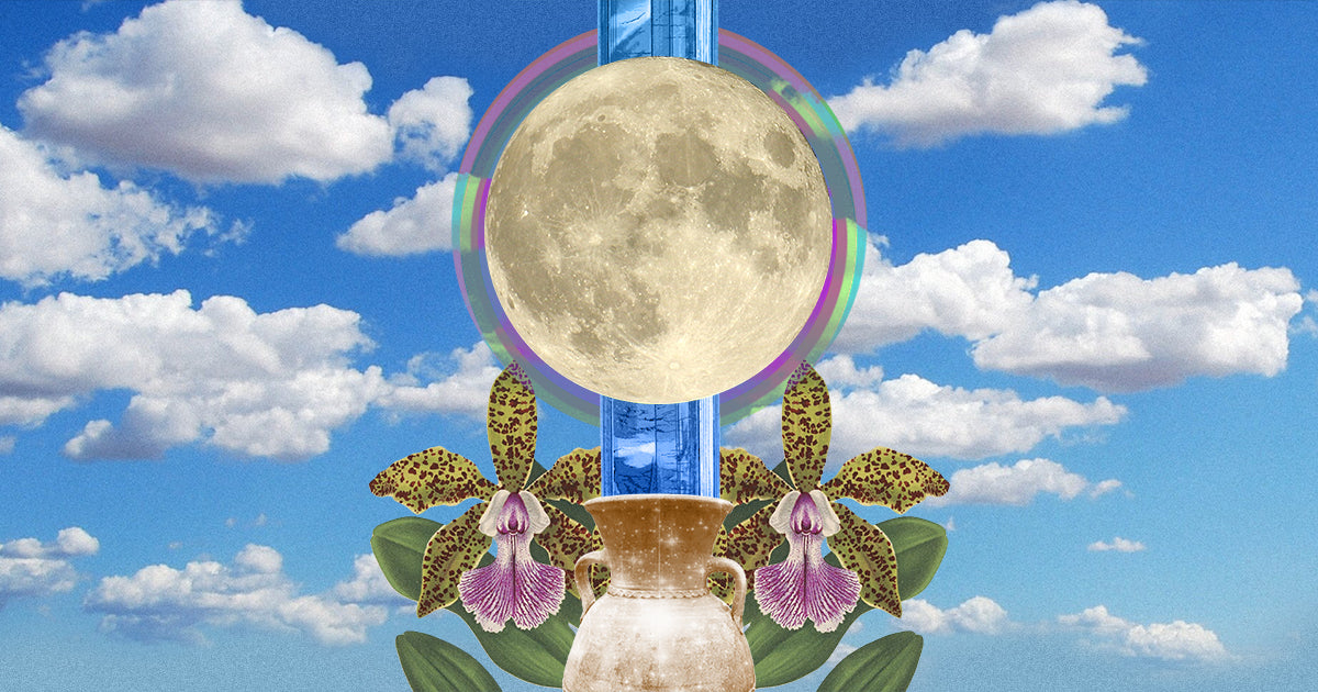 Your Full Moon in Aquarius Reading