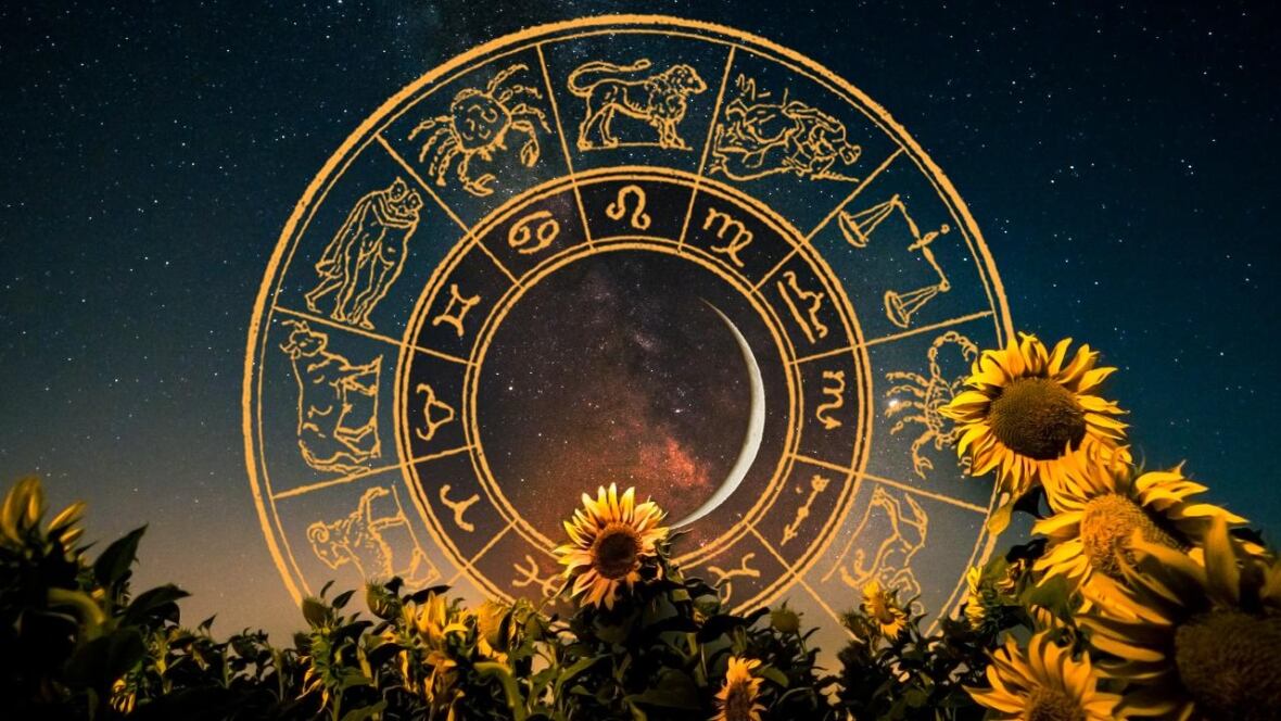 Your New Moon Leo Reading