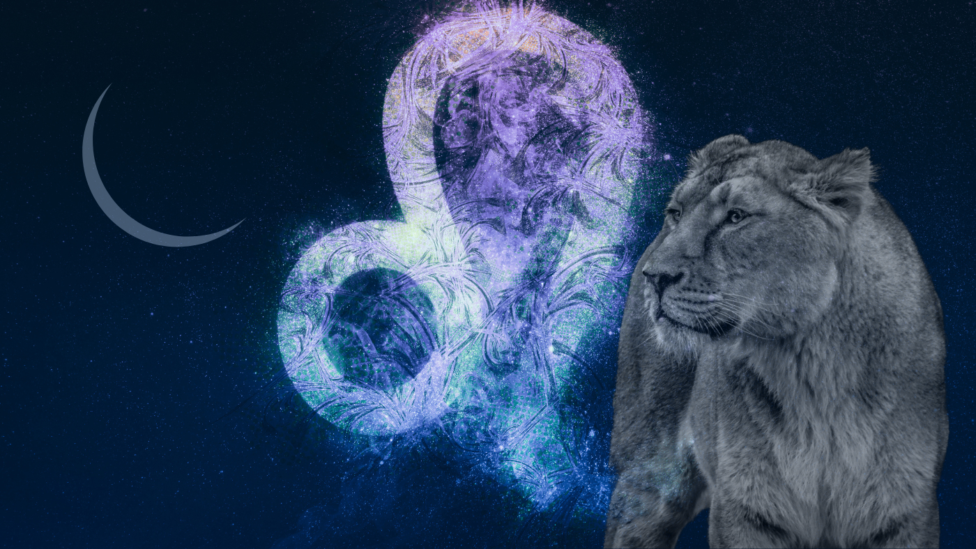 Your New Moon in Leo Reading - July 2022