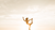 The Best Yoga Postures for … | Your Questions Answered