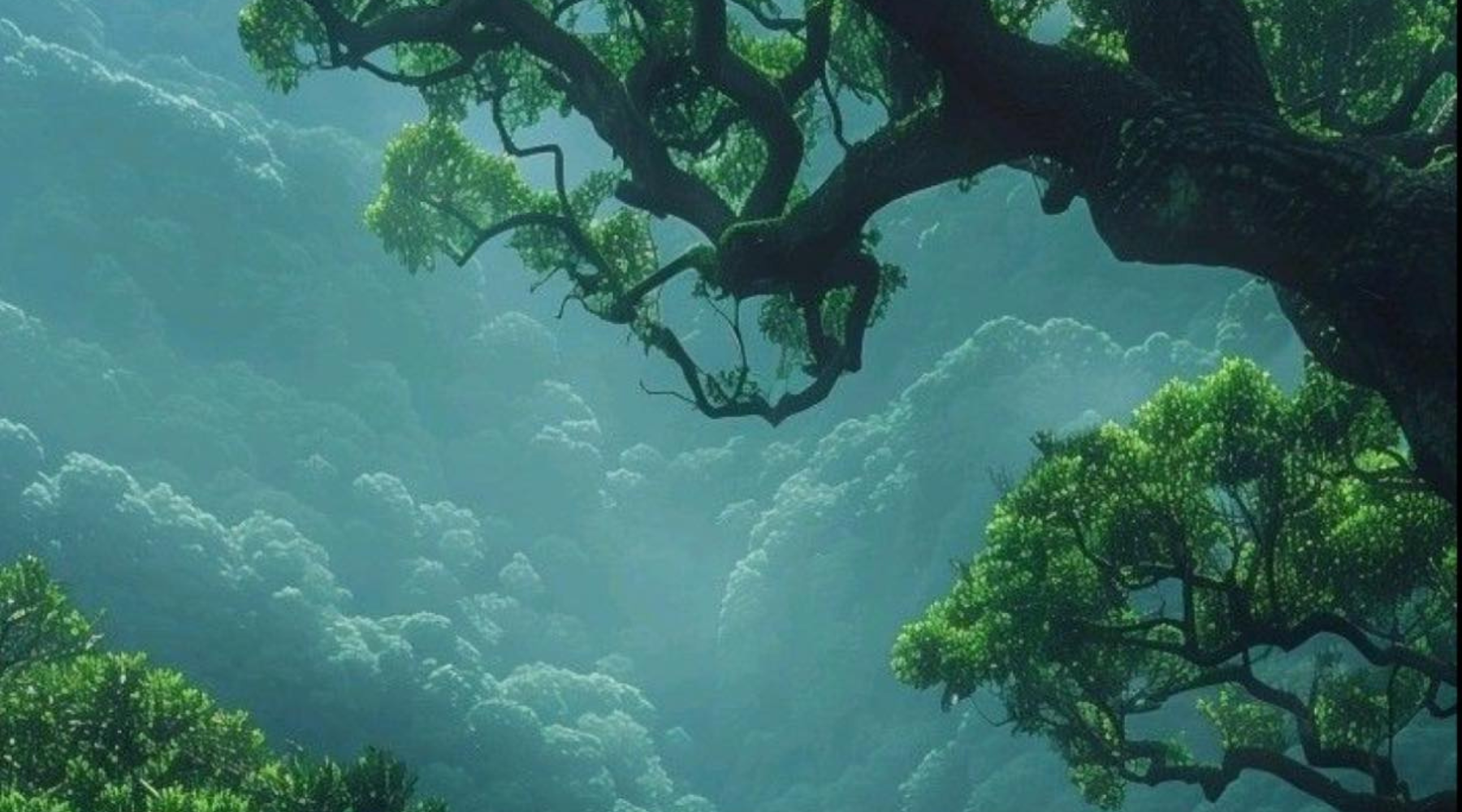 Akashic Reading & Transmission from the Trees of Earth | The Voice ...