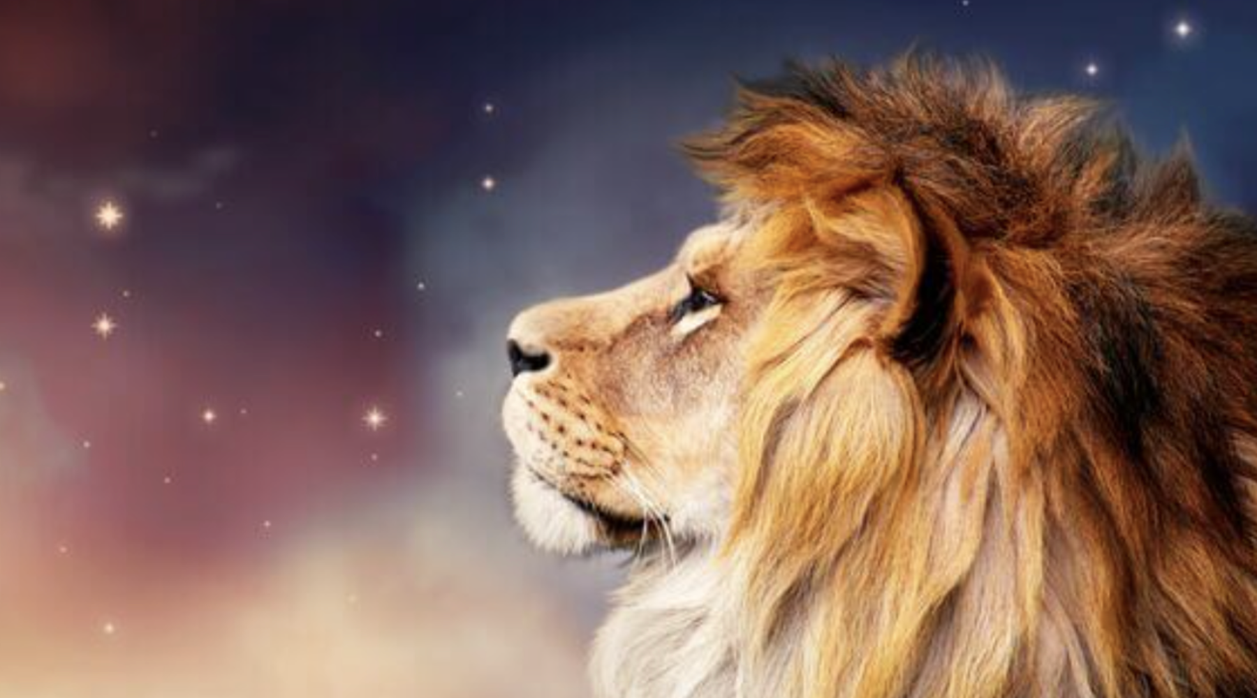 lion's-gate-portal-activation
