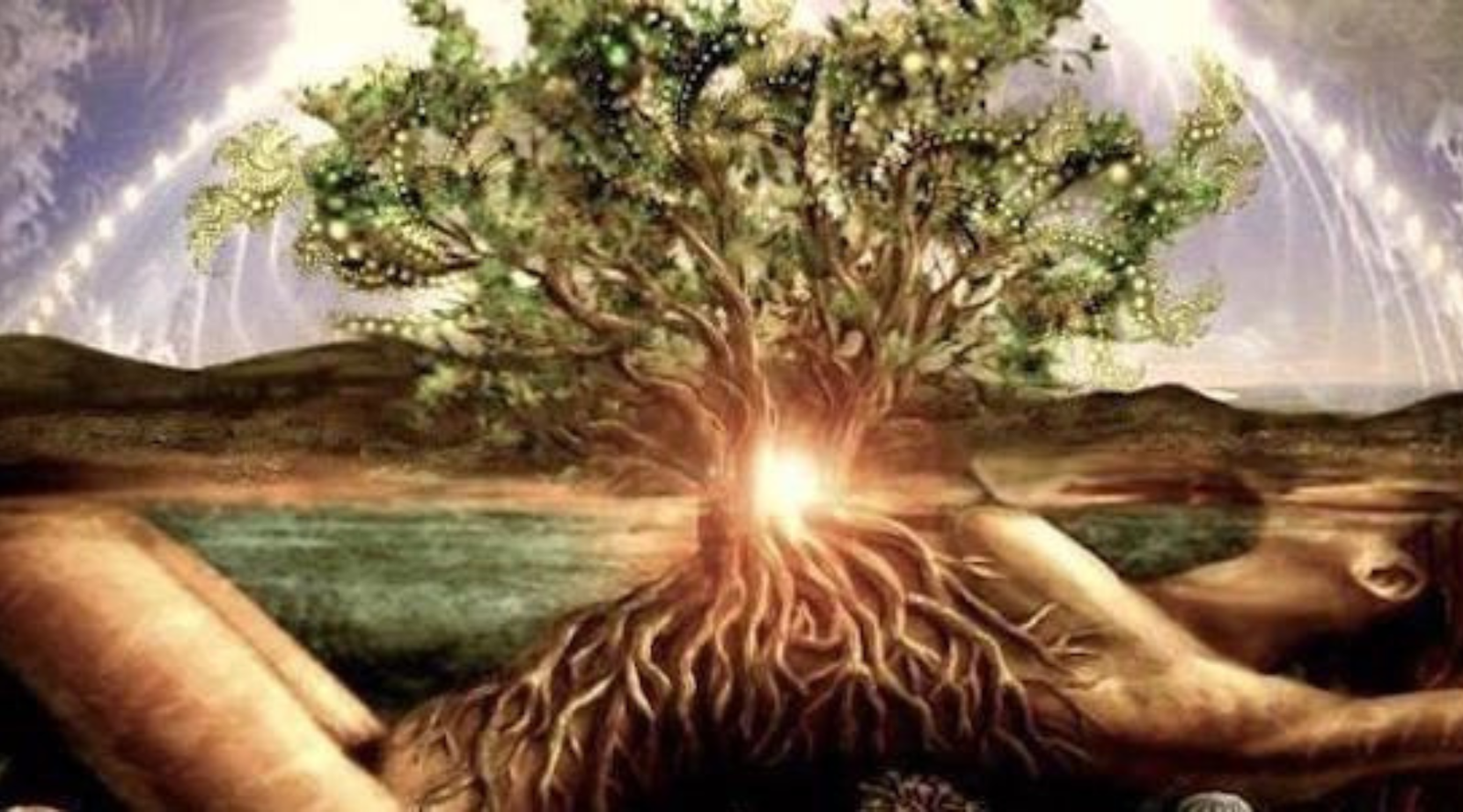 Imbolc: When the Light Begins to Stir