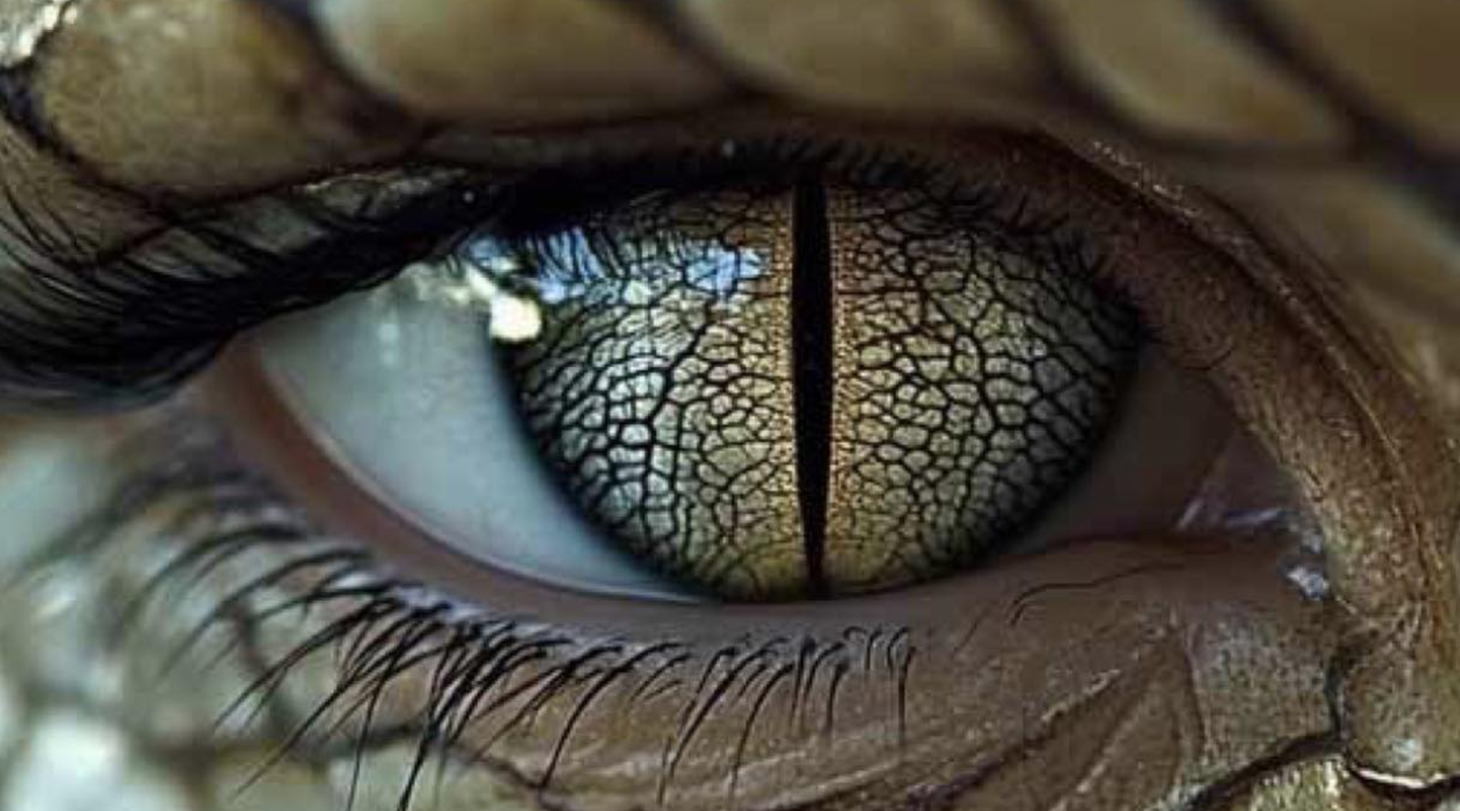 The Trump-Draco Intersection | Decoding the Reptilian Catalyst