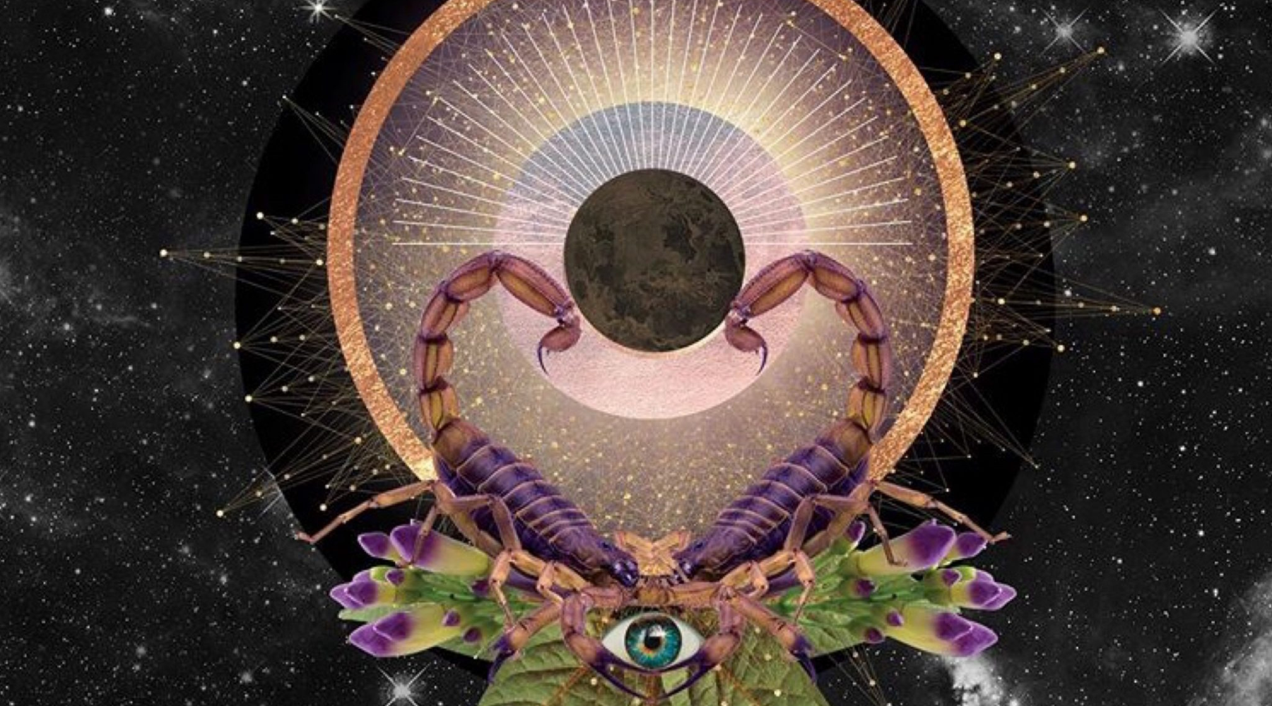 Your New Moon in Scorpio Reading