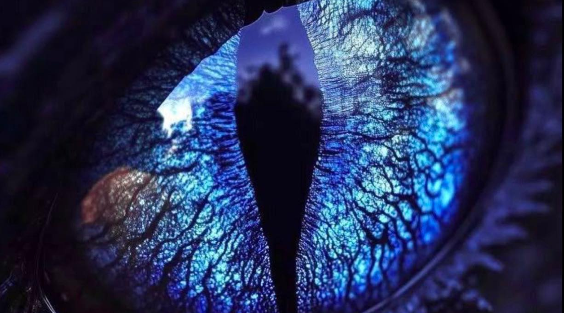 Extraterrestrial Presence and Multidimensional Sight