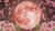 Full Moon in Scorpio Reading