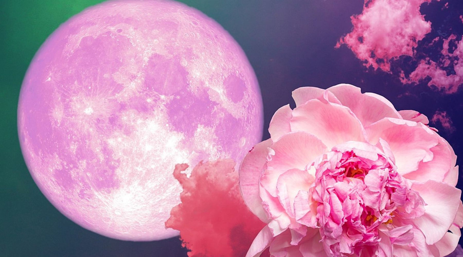 Your Full Moon in Scorpio Reading - Full Circle Yoga School
