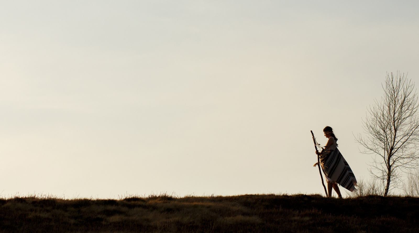 Silhouette of a person standing on a hill holding a staff, with a barren tree nearby under a vast sky - full-circle-scool FCYS-Hiker-Hill-Silhouette.