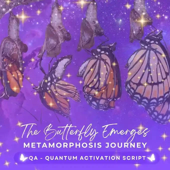 The Butterfly Emerges