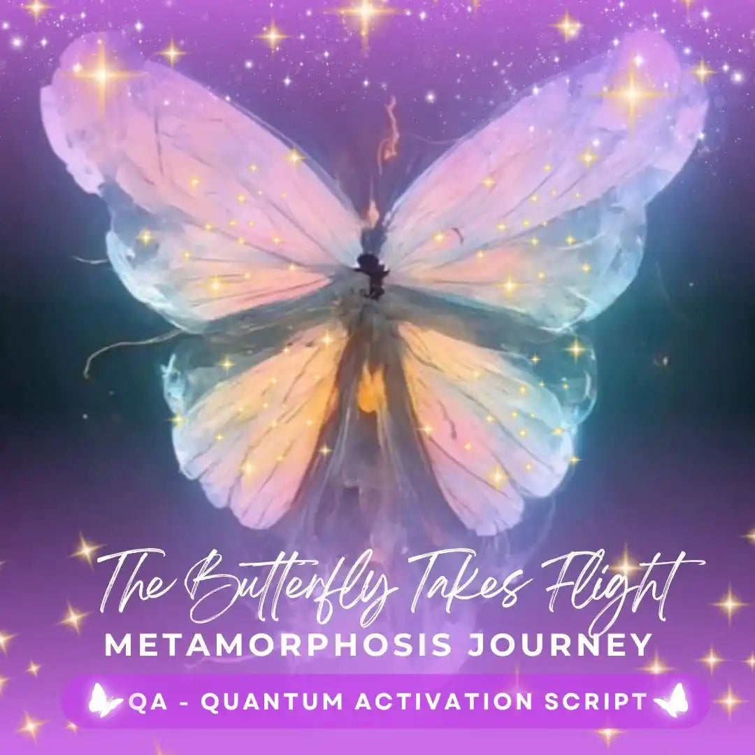 The Butterfly Takes Flight