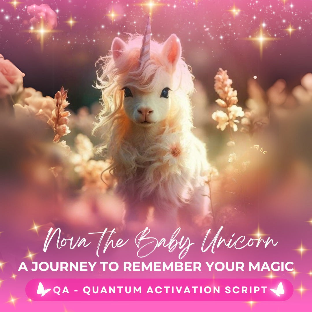 Nova the Baby Unicorn