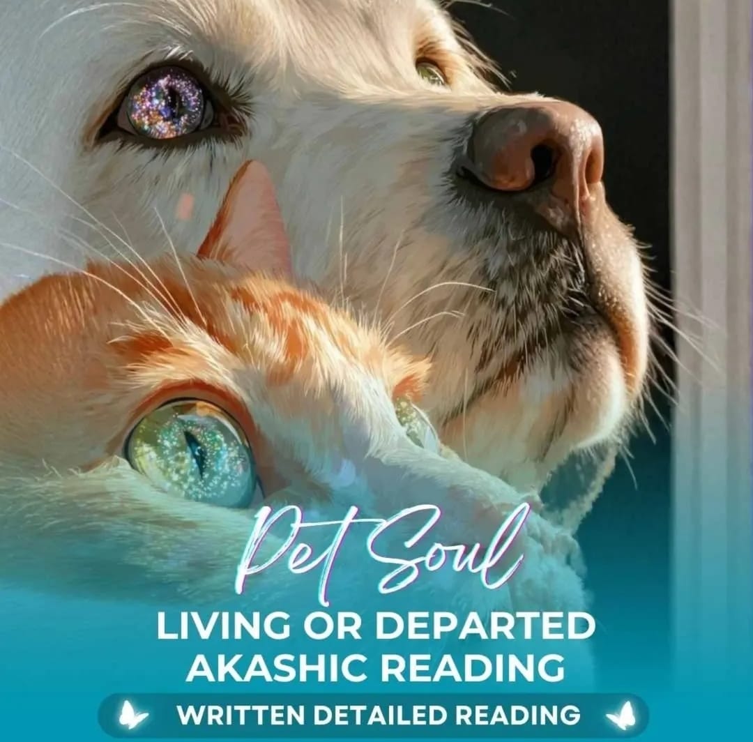 Pet Soul Reading Living or Departed
