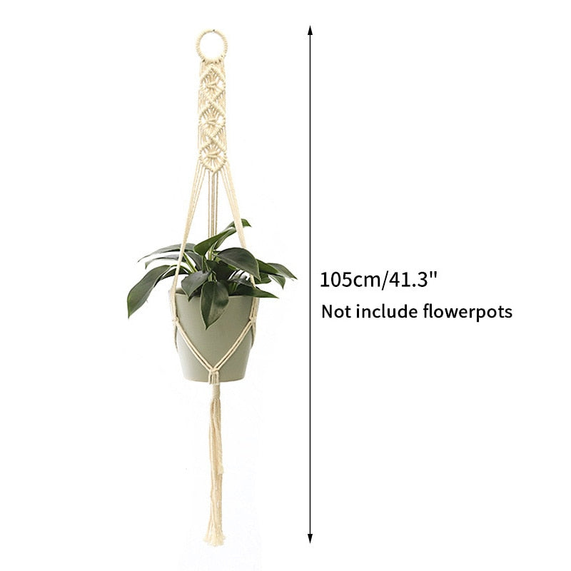 Full Circle Yoga School S15 Gardening Green Plant Hanging Basket