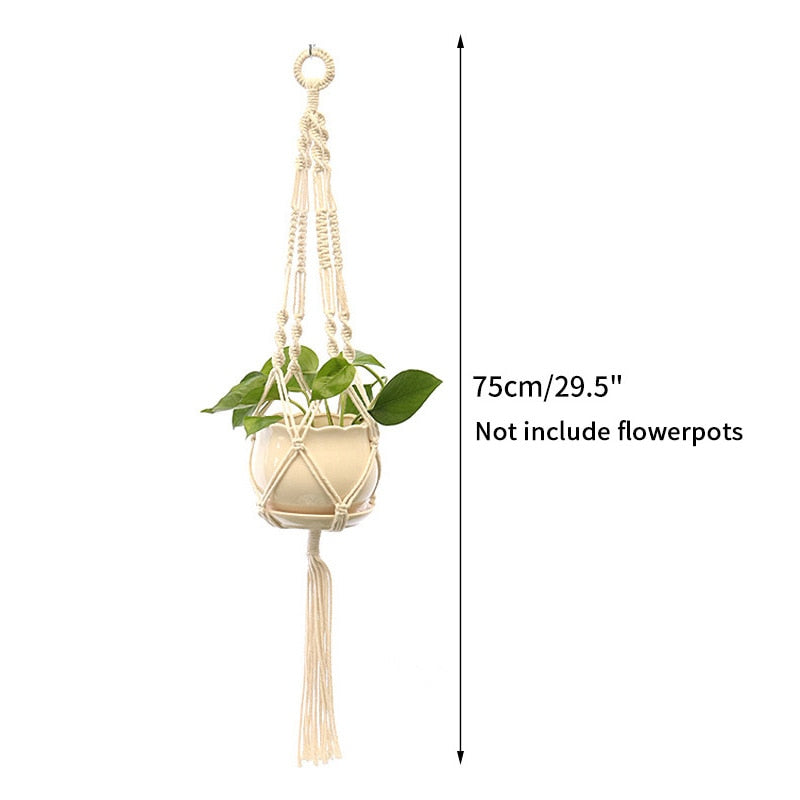 Full Circle Yoga School S18 Gardening Green Plant Hanging Basket