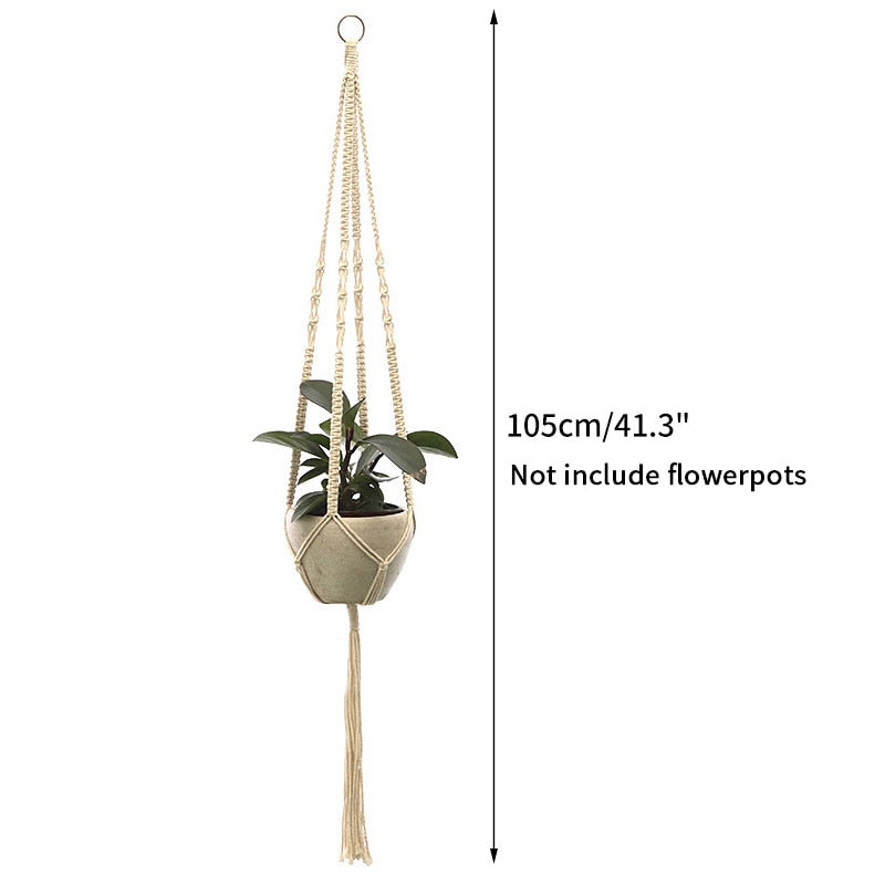 Full Circle Yoga School S20 Gardening Green Plant Hanging Basket