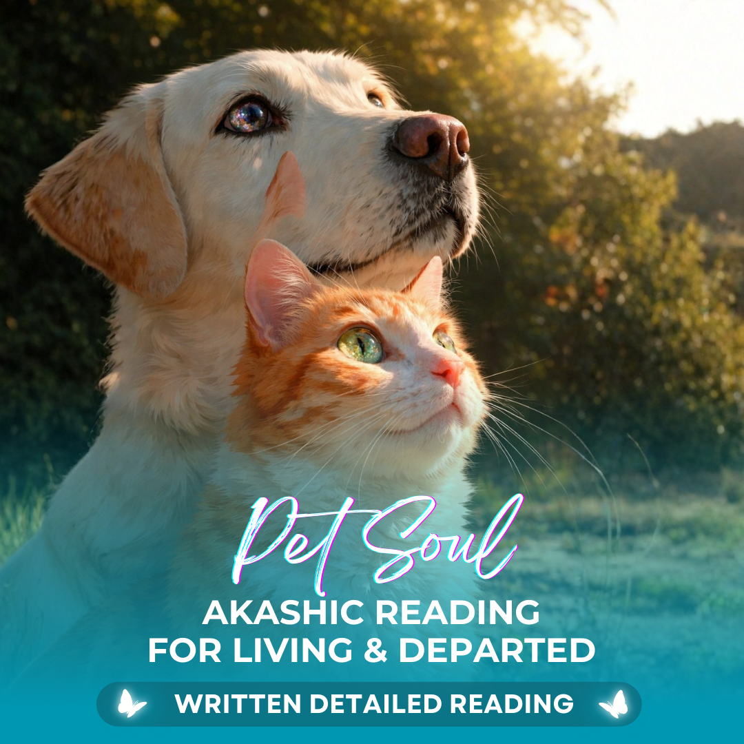 Pet Soul Reading Living or Departed